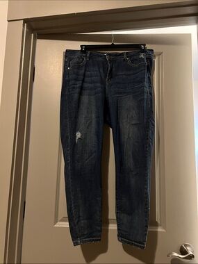 Lane Bryant Mid-Rise Super Stretch Skinny